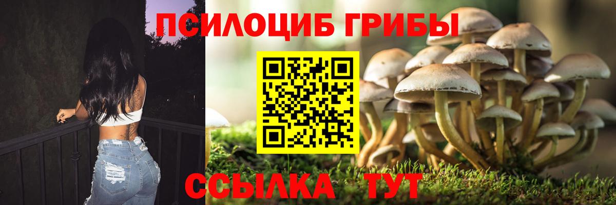 Псилоцибиновые грибы прущие грибы  цены наркотик  Галлюциногенные грибы MAGIC MUSHROOMS  Дедовск  Вход с VPN 