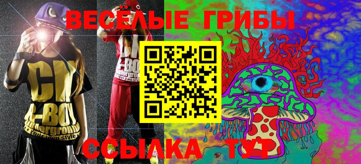 Галлюциногенные грибы Cubensis Дедовск